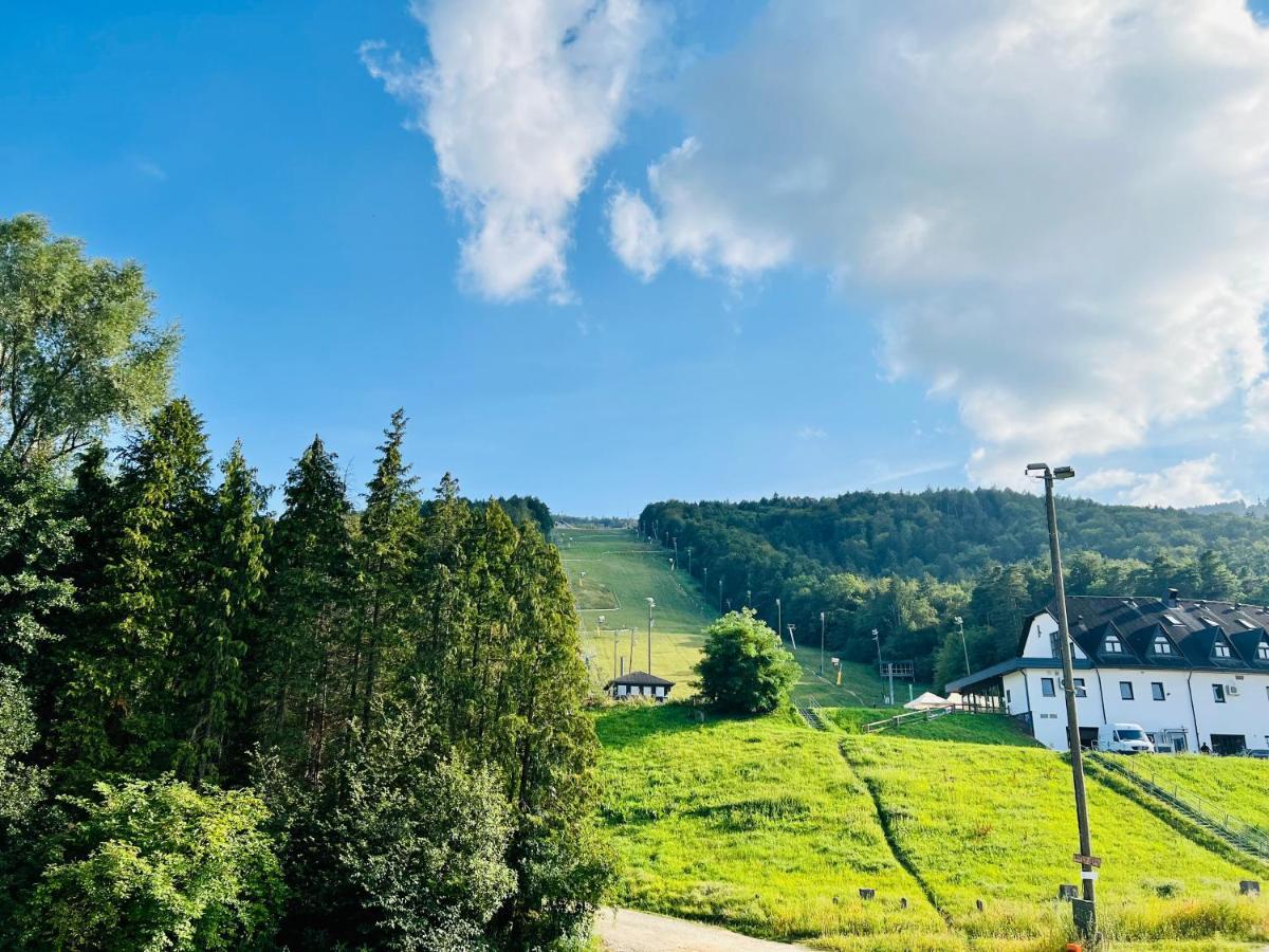 Villa Mari I Maribor Dış mekan fotoğraf