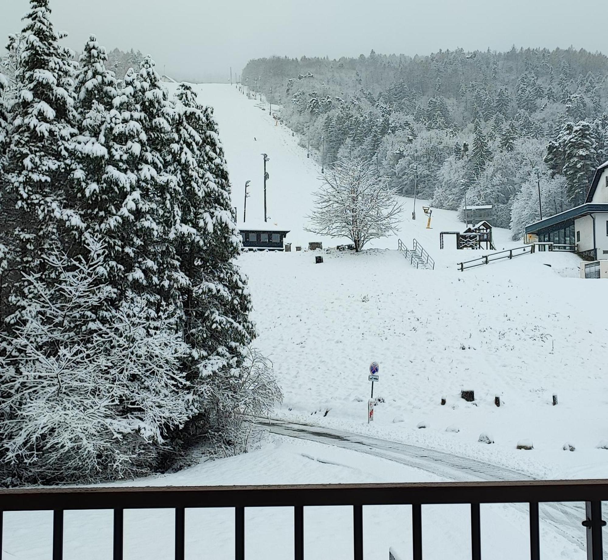 Villa Mari I Maribor Dış mekan fotoğraf