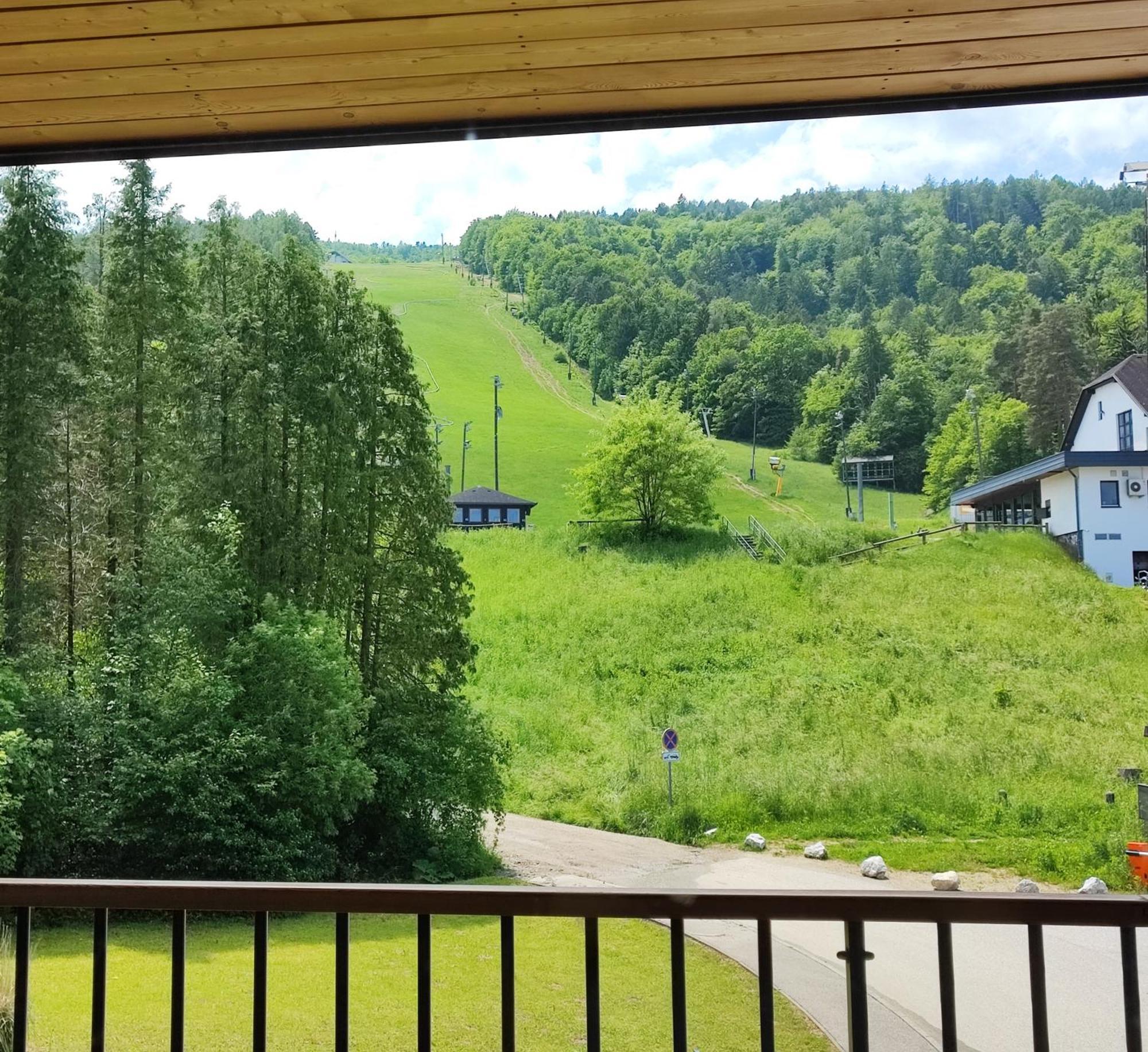 Villa Mari I Maribor Dış mekan fotoğraf